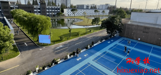 1658457480634014528 (1).png