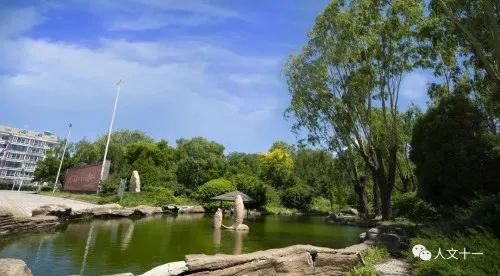 1658391032431502080.png 图片