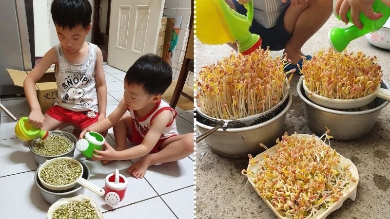 放暑假,暑假在家玩,低成本游戏,小学生,训练眼手能力,育儿教养