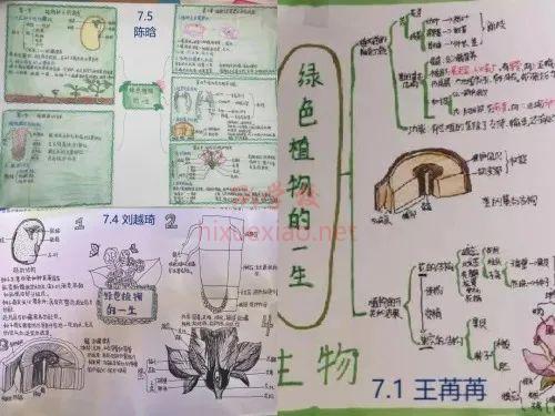 1674029366291620849.png 图片