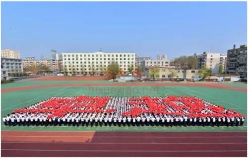 167210914761403725.png 图片