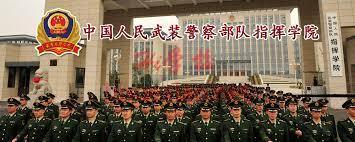下载 (8).jpeg